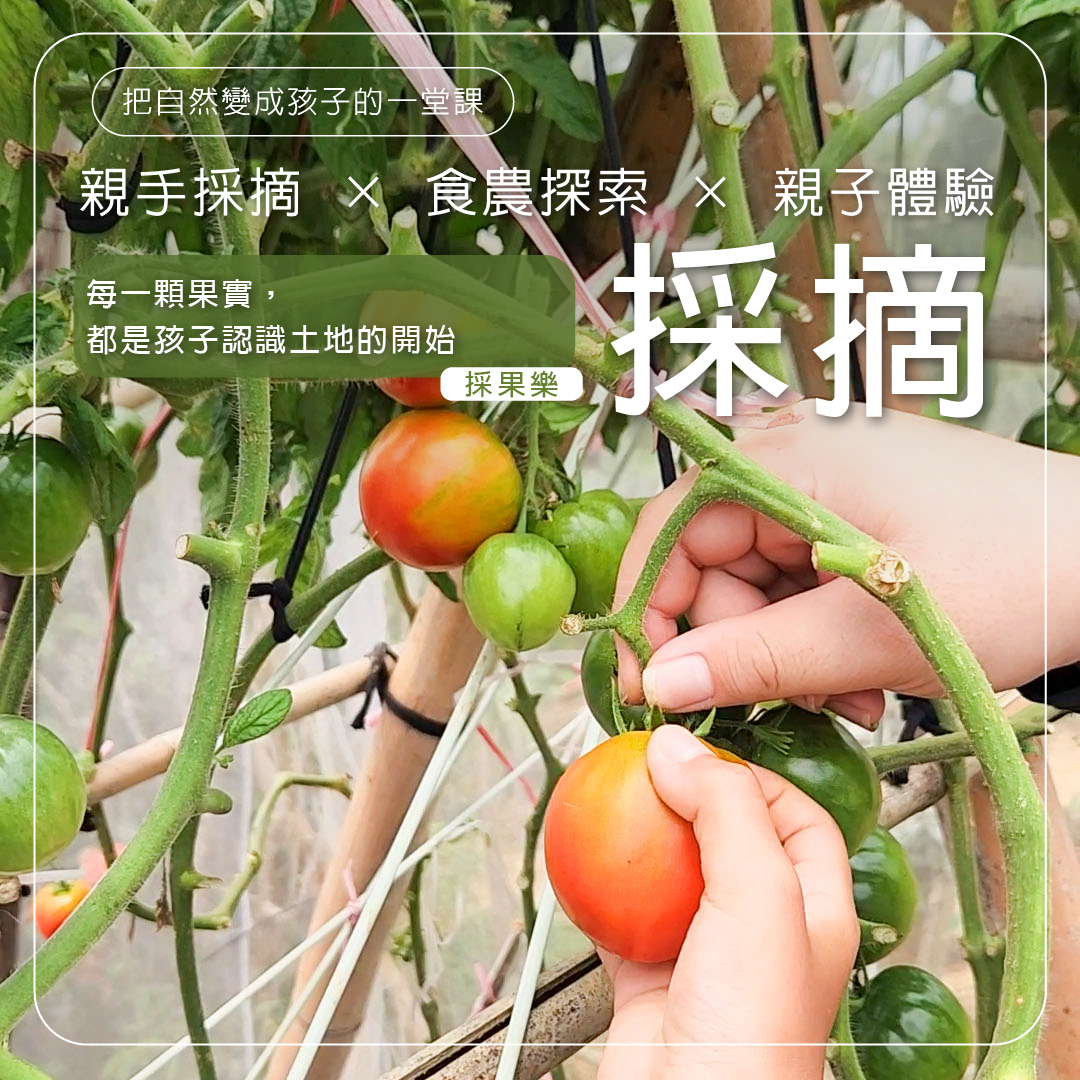 採摘