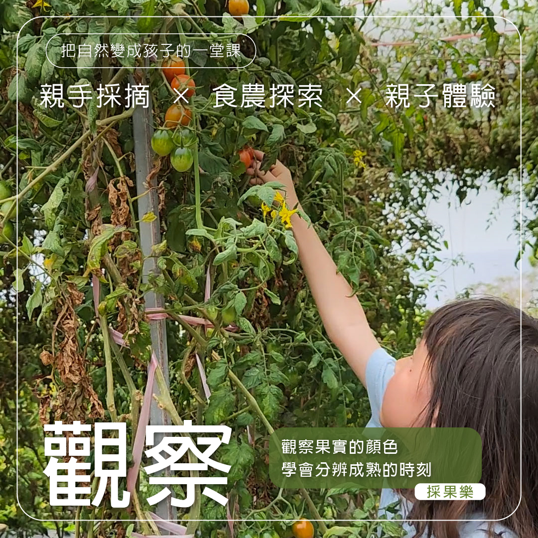 觀察