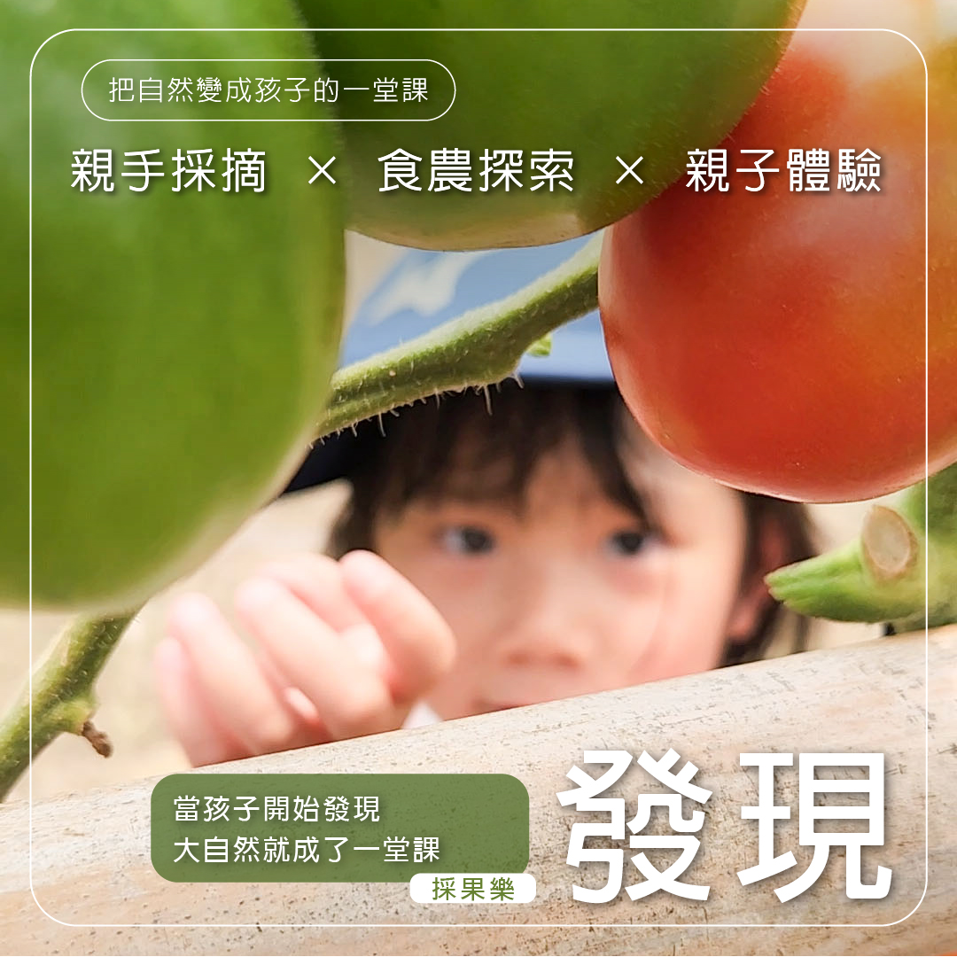 發現